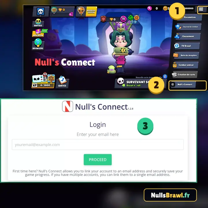 Étapes pour connecter votre compte privé à Null's Connect via un e-mail.